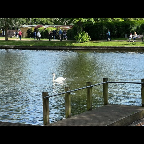 Free Shipping On Bundles Of Three Or More Items - Picture 7 of 13